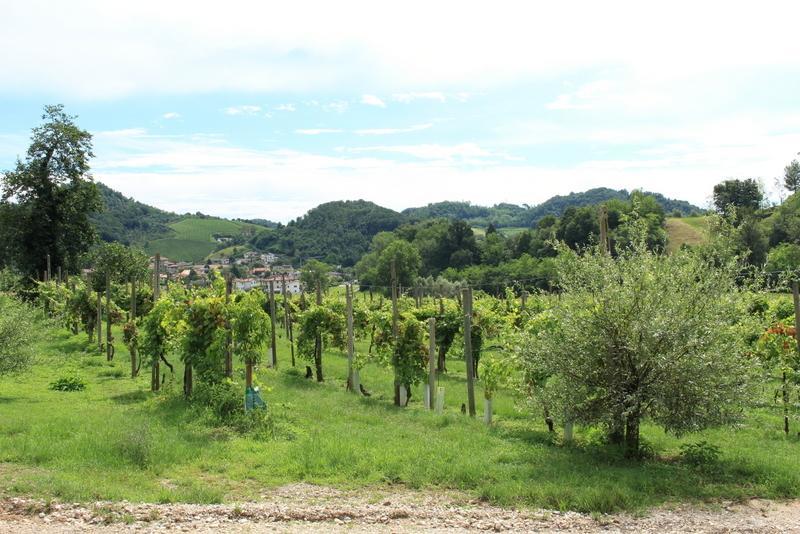 Agriturismo Mazzeracca Bassano del Grappa Extérieur photo