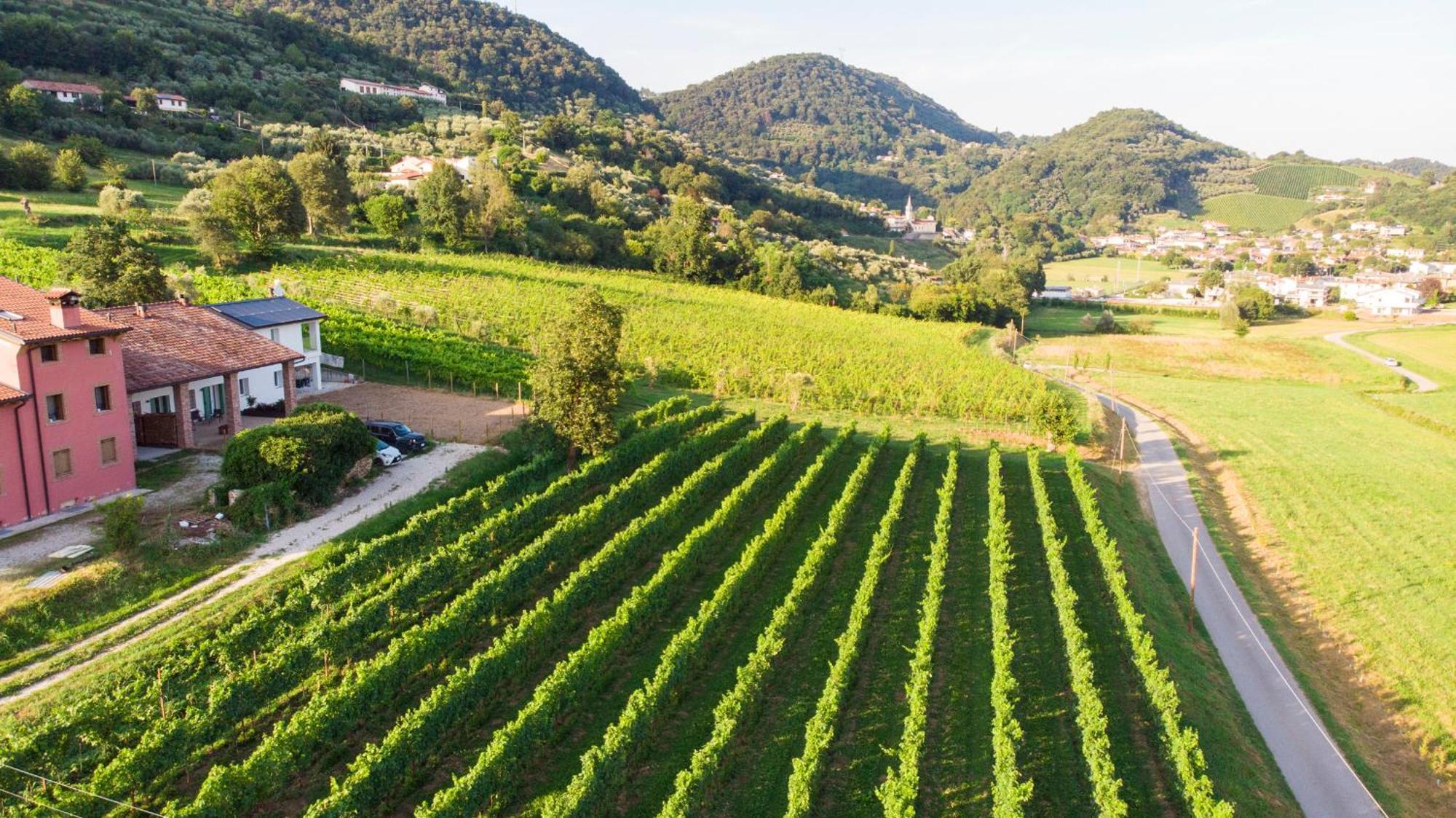 Agriturismo Mazzeracca Bassano del Grappa Extérieur photo